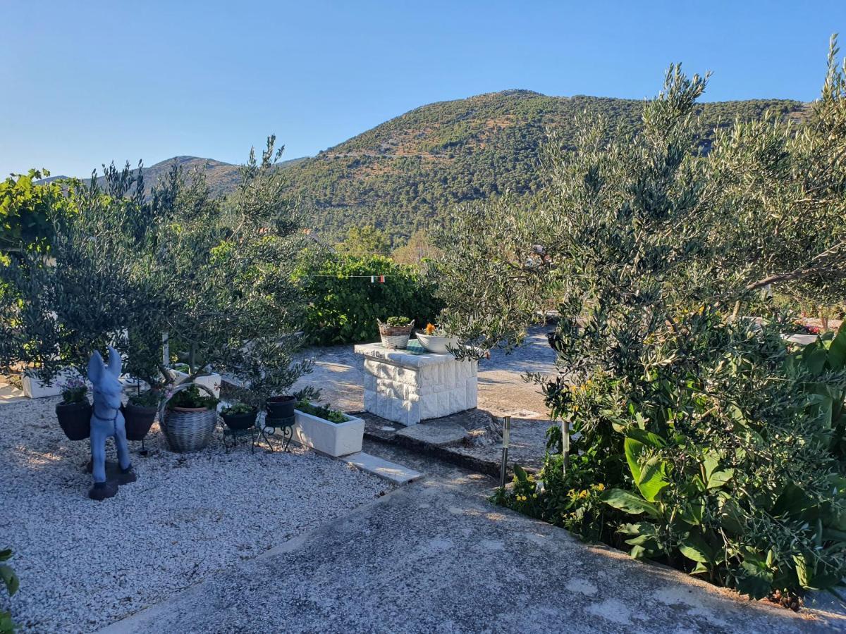Apartman Mare Šibenik Exteriör bild