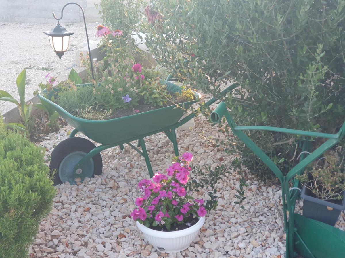 Apartman Mare Šibenik Exteriör bild